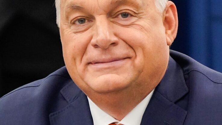 Vyhynutí populace: Děti se nerodí a politici by mohli následovat příklad Orbána