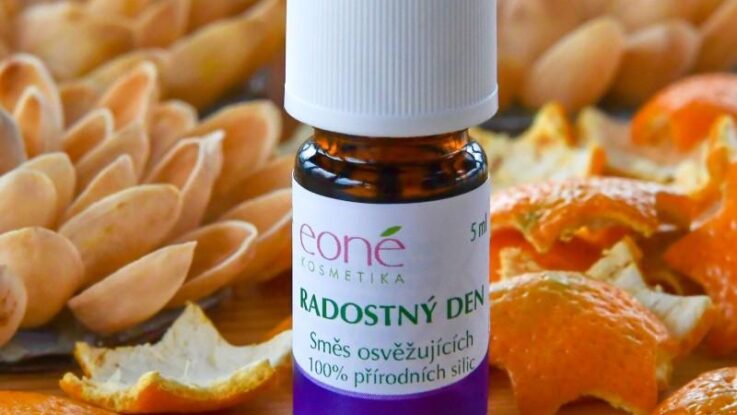 Radostný (PRO): Odměna místo trestu, vítáme vás v Kocourkově