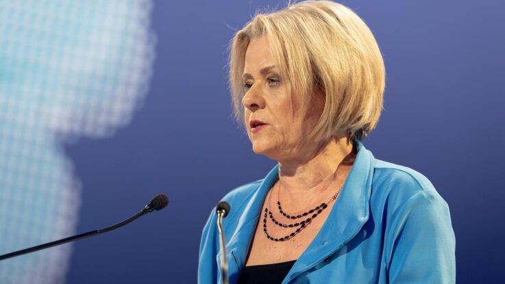 Vrecionová (ODS): Zajištění lepší ochrany pro kočky a psy v rámci EU