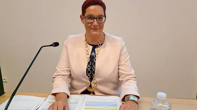 Solařová (ANO): Grolich mě odmítl s tím, že se příliš angažuji