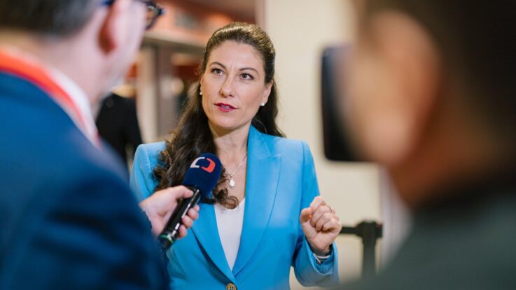 Decroix (ODS): Pokud mají odvahu, rád jim pomohu